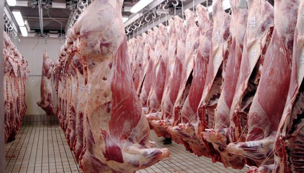 La faena bovina creció en julio pero sigue por debajo de 2024