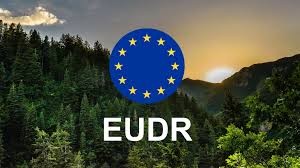 Europa avanza con la ley de deforestación cero y redefine el comercio agrícola