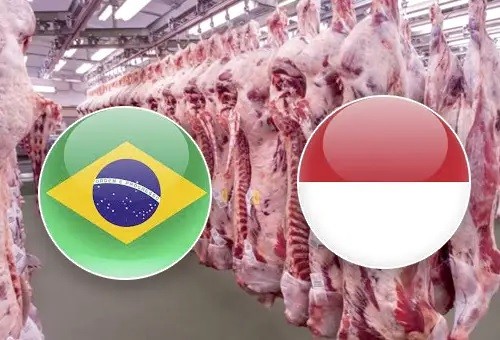Brasil amplía sus fronteras y coloca carne bovina en Indonesia