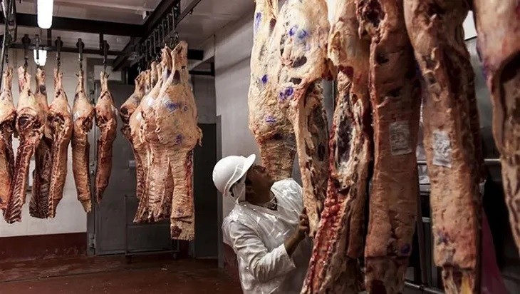 Exportaciones de carne argentina suman casi 2000 millones en siete meses