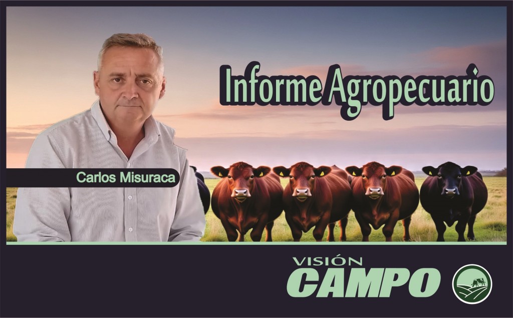 Informe Agropecuario