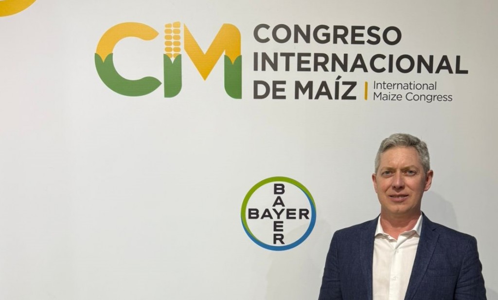 El maíz conquistó la Pampa semiárida y se transformó en un modelo de innovación productiva