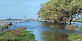 12 distritos bajo emergencia agropecuaria en la provincia de Buenos Aires.