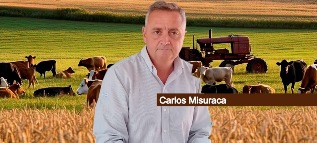 Visión Campo en Spotify