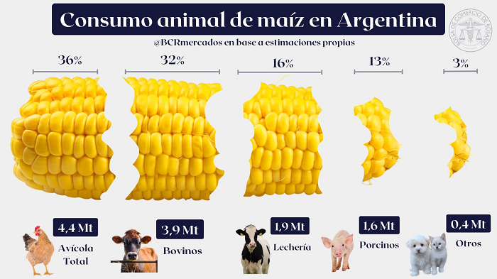 Más maíz para el campo argentino