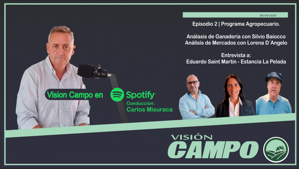 Visión Campo - Spotify - Episodio 2