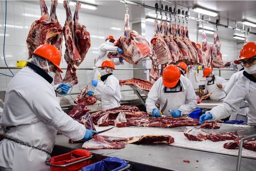 Las exportaciones de carne vacuna crecen en ingresos pese a la caída de envíos