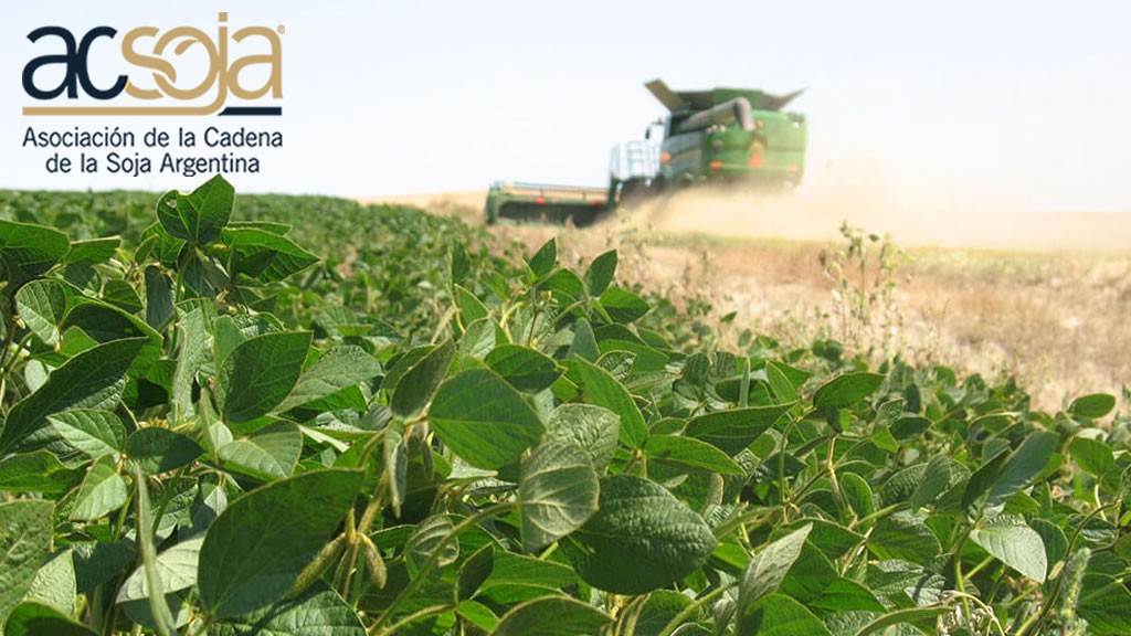 El futuro de la proteína de soja: Seminario Acsoja 2025 en Rosario.