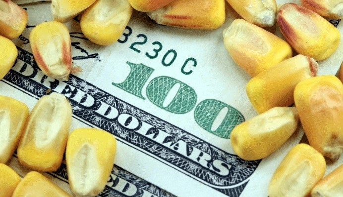 El campo entre el dólar, las tasas y la falta de previsibilidad