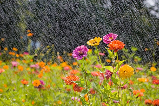 Primavera húmeda, Buenos Aires enfrenta suelos saturados y más lluvias.