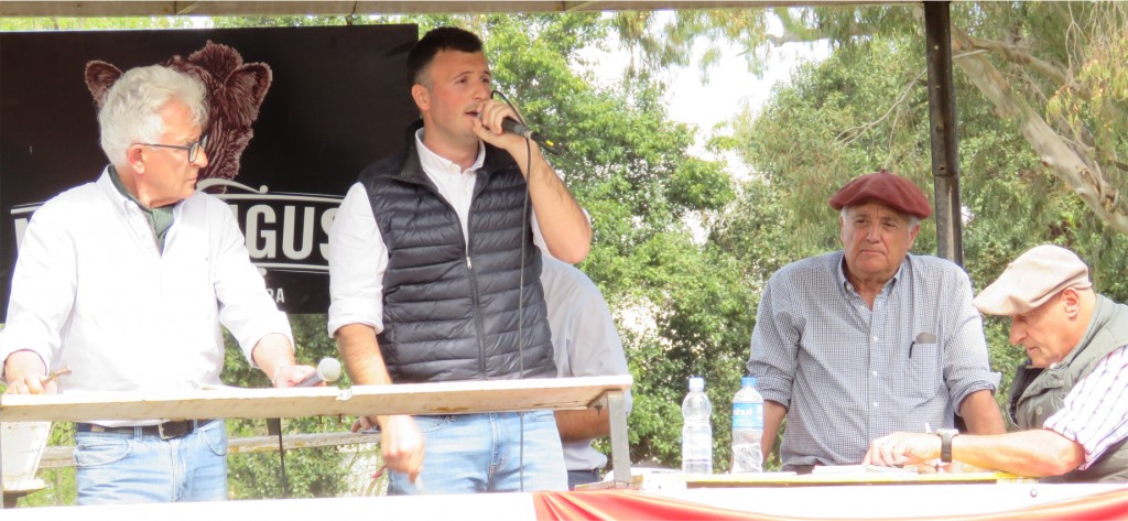 Marcangus de Primavera superó expectativas con toros y vientres de excelencia