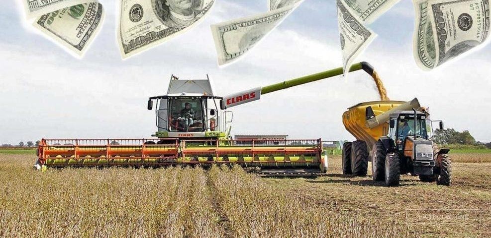 Se agotó el cupo de exportaciones y vuelven las retenciones a granos y carnes