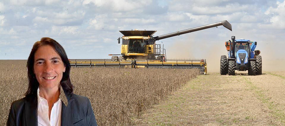 La eliminación temporaria de retenciones tomó por sorpresa a los productores 