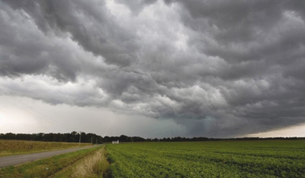 Destacan el impacto positivo de las “oportunas” lluvias, cambió el panorama productivo.