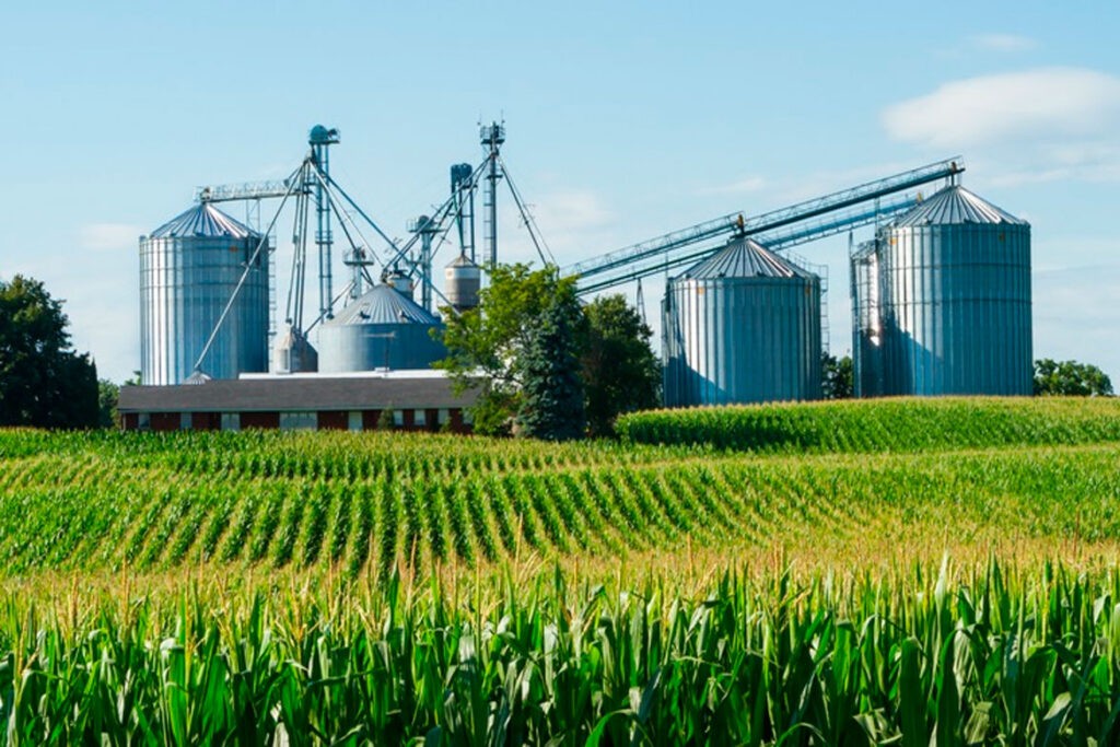 Cadenas agroindustriales: columna vertebral de la economía en 2024