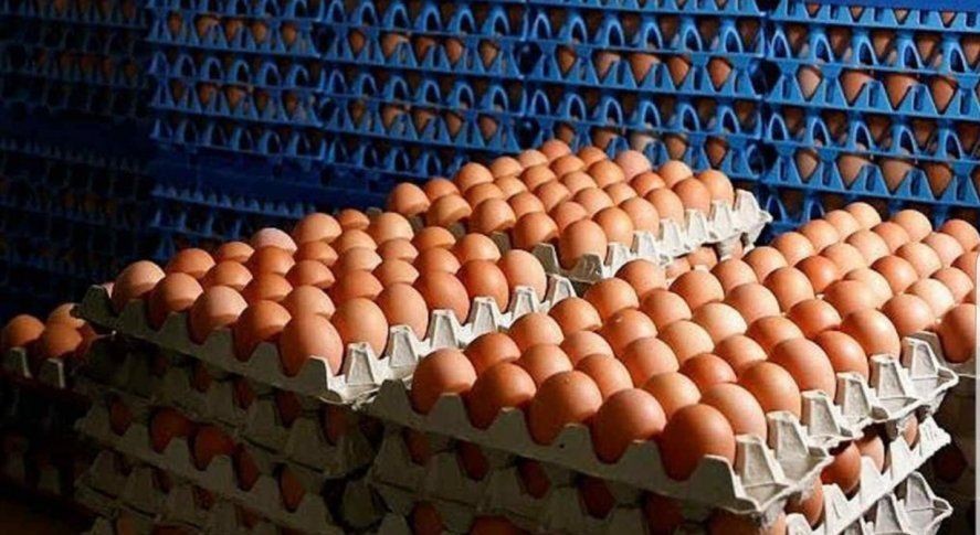 El consumo récord de huevos lleva al sector a considerar maples de 60 unidades.