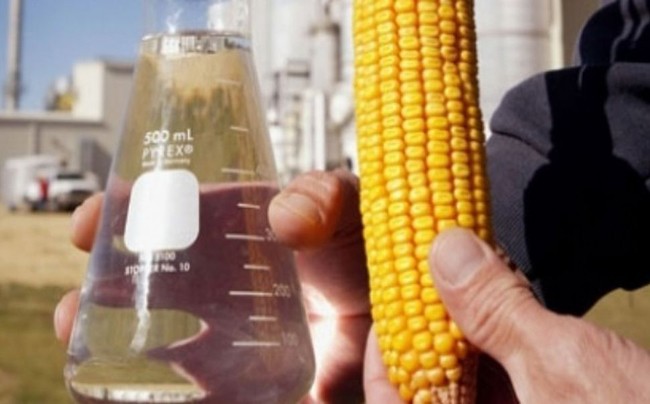 La agroindustria del bioetanol (maíz y azúcar) piden una Ley de Biocombustibles al Senado.
