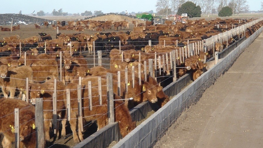 La carne argentina enfrenta su paradoja más dura