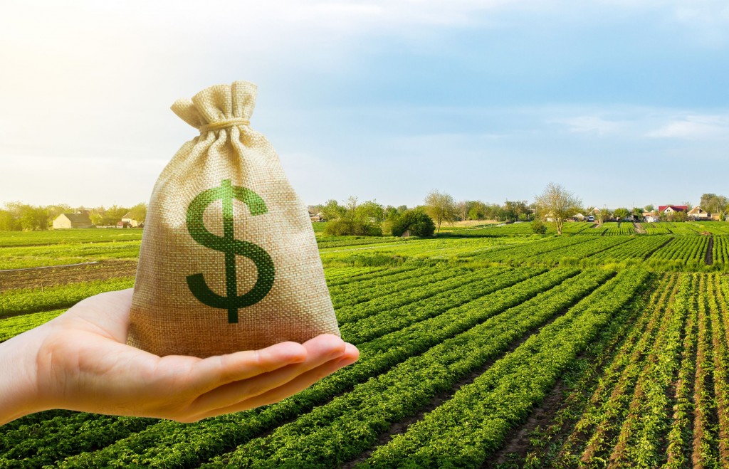 Un informe económico devela el impacto positivo de las retenciones cero en el campo.