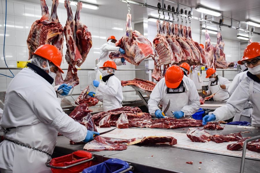 Exportaciones de carne en niveles históricos con precios récord en tres años