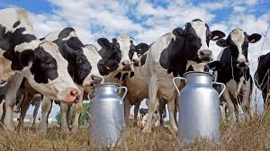 Indicadores clave de la reproducción bajo estrés calórico.