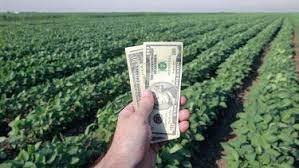 Era previsible: tras el ingreso extraordinario de septiembre, la liquidación de divisas se desplomó en octubre.