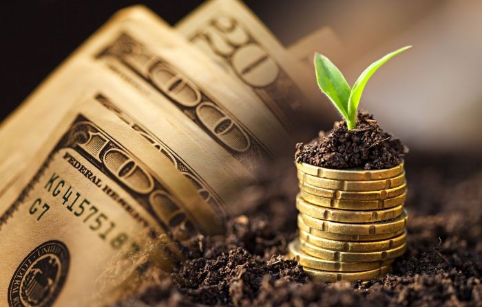 Era previsible: tras el ingreso extraordinario de septiembre, la liquidación de divisas se desplomó en octubre.