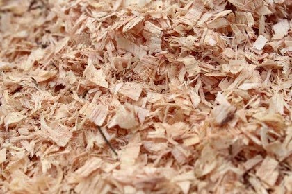 Aserrín como alimento para vacas: una alternativa viable y económica.