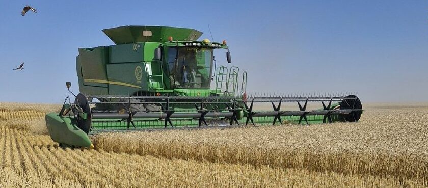 Cosecha de trigo 2025/26, proyectan un volumen récord de 24,5 millones de toneladas.