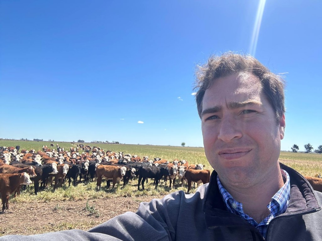 Hacienda escasa, precios firmes, el nuevo escenario ganadero