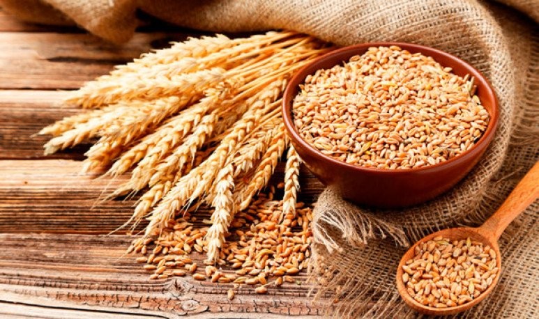 Nitrógeno en Trigo, el número mágico de 30 kg/tonelada para una cosecha excepcional.