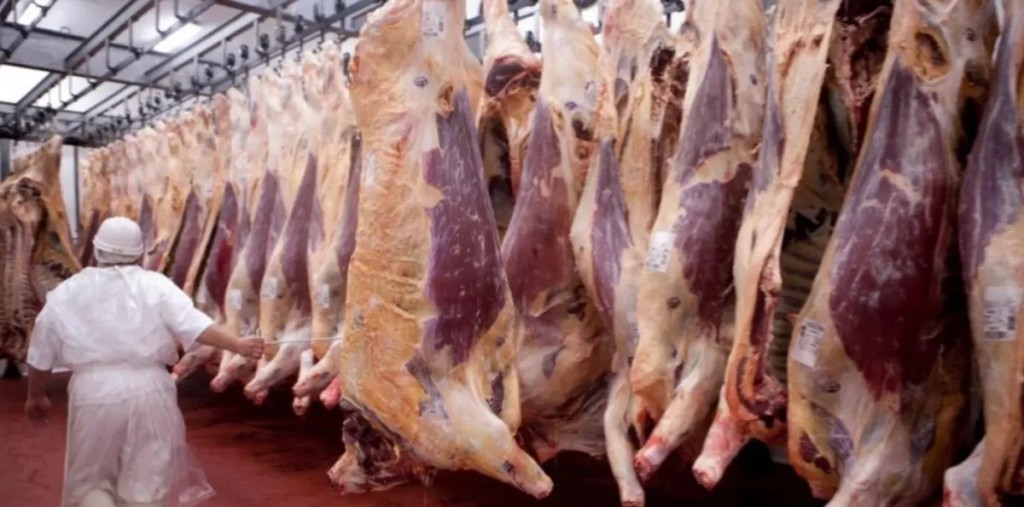 Las exportaciones de carne impulsan una fuerte suba en los ingresos