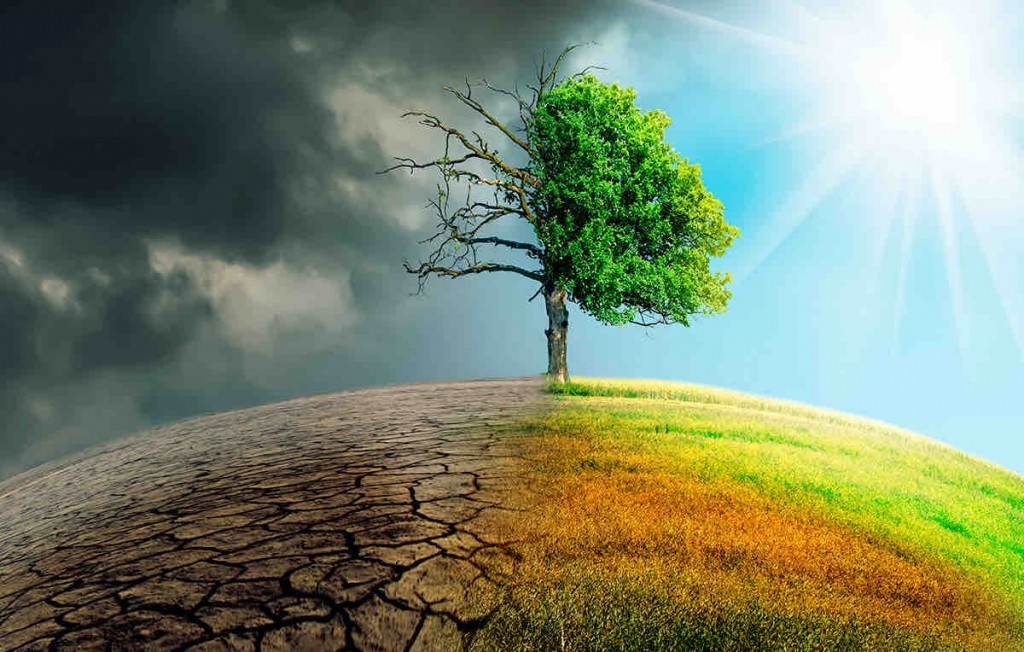 Nuevas lluvias complican el avance de la siembra de soja