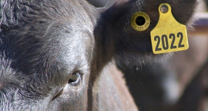 Trazabilidad ganadera con sello digital