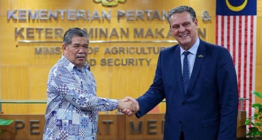 Brasil recupera el mercado avícola de Malasia