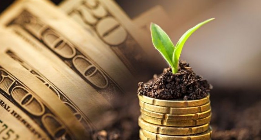 Era previsible: tras el ingreso extraordinario de septiembre, la liquidación de divisas se desplomó en octubre.