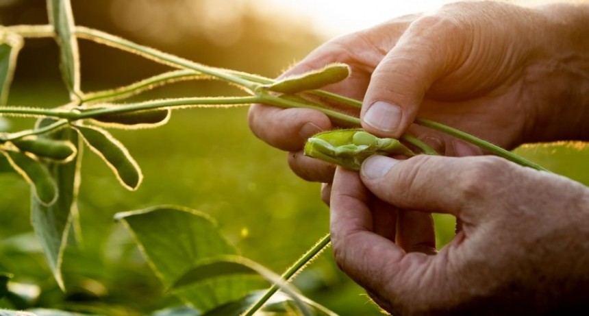 Paisajes Productivos Protegidos, un modelo de gestión territorial para la soja responsable.