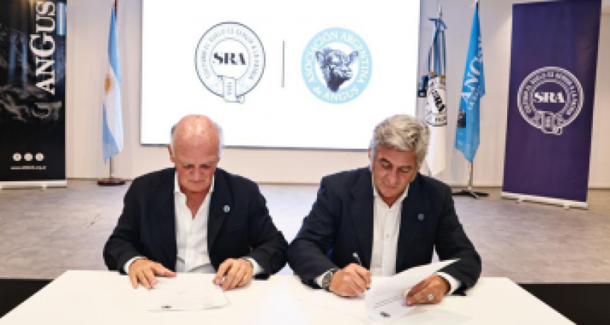 Un acuerdo que moderniza el corazón del rodeo Angus