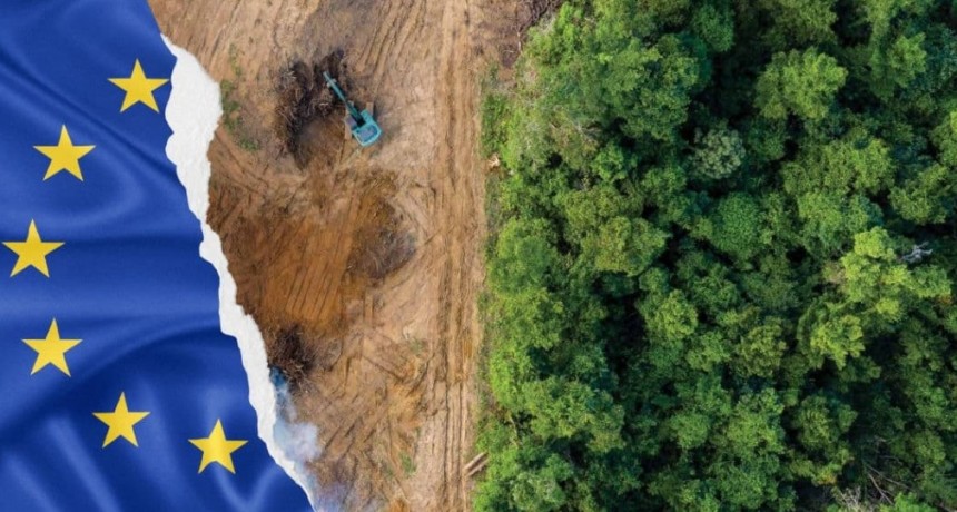 Europa demora la decisión sobre la ley contra la deforestación