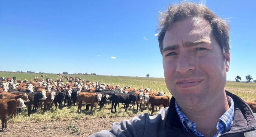 Hacienda escasa, precios firmes, el nuevo escenario ganadero