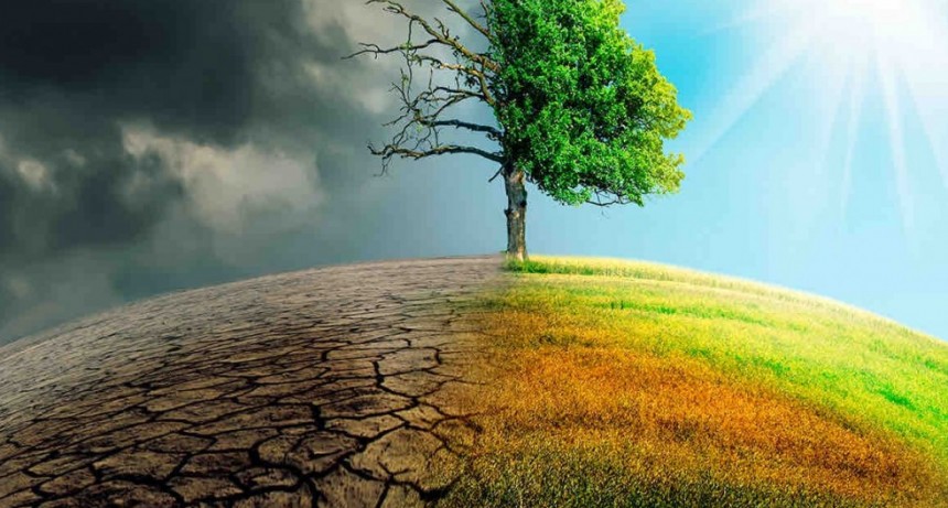 Nuevas lluvias complican el avance de la siembra de soja