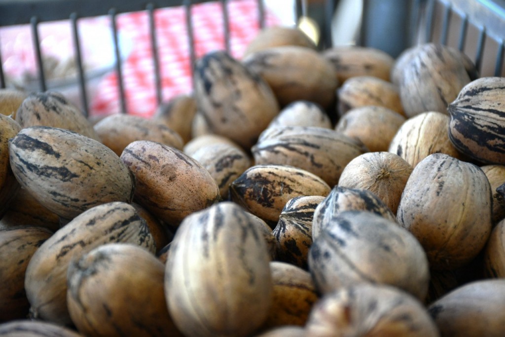 La nuez pecán argentina desembarca en China.
