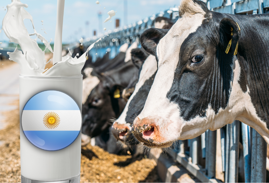 El sector lácteo celebra su mayor ingreso por exportaciones en 12 años.