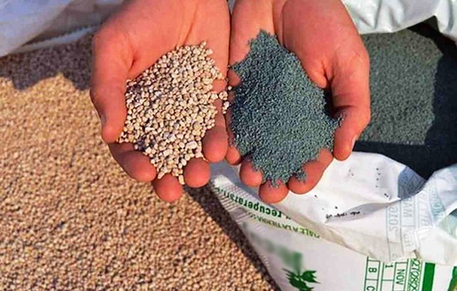 Consumo en alza, 2025 podría quedar en el podio histórico de uso de fertilizantes en Argentina.