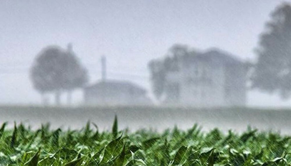 Alertan por lluvias en los sectores norte y este del área agrícola.