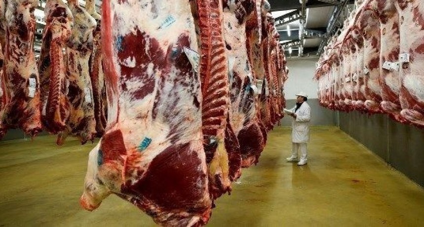 La faena profundiza su retroceso y confirma un cambio de ciclo