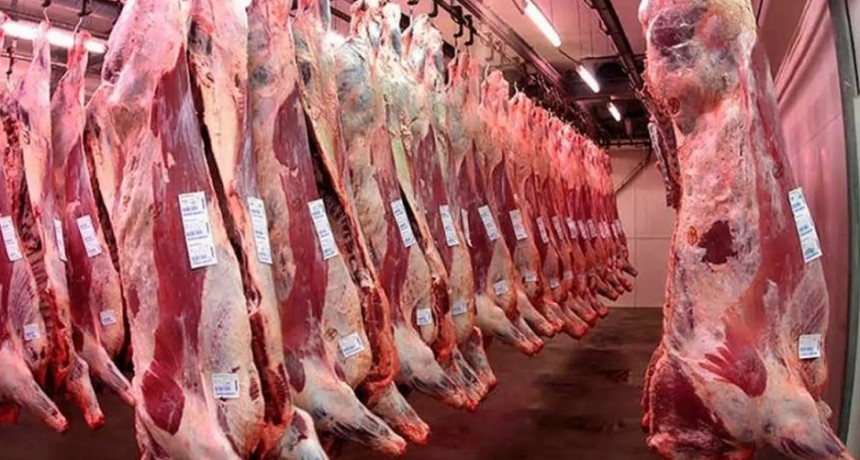 EE.UU. espera un aumento en las importaciones de carne vacuna